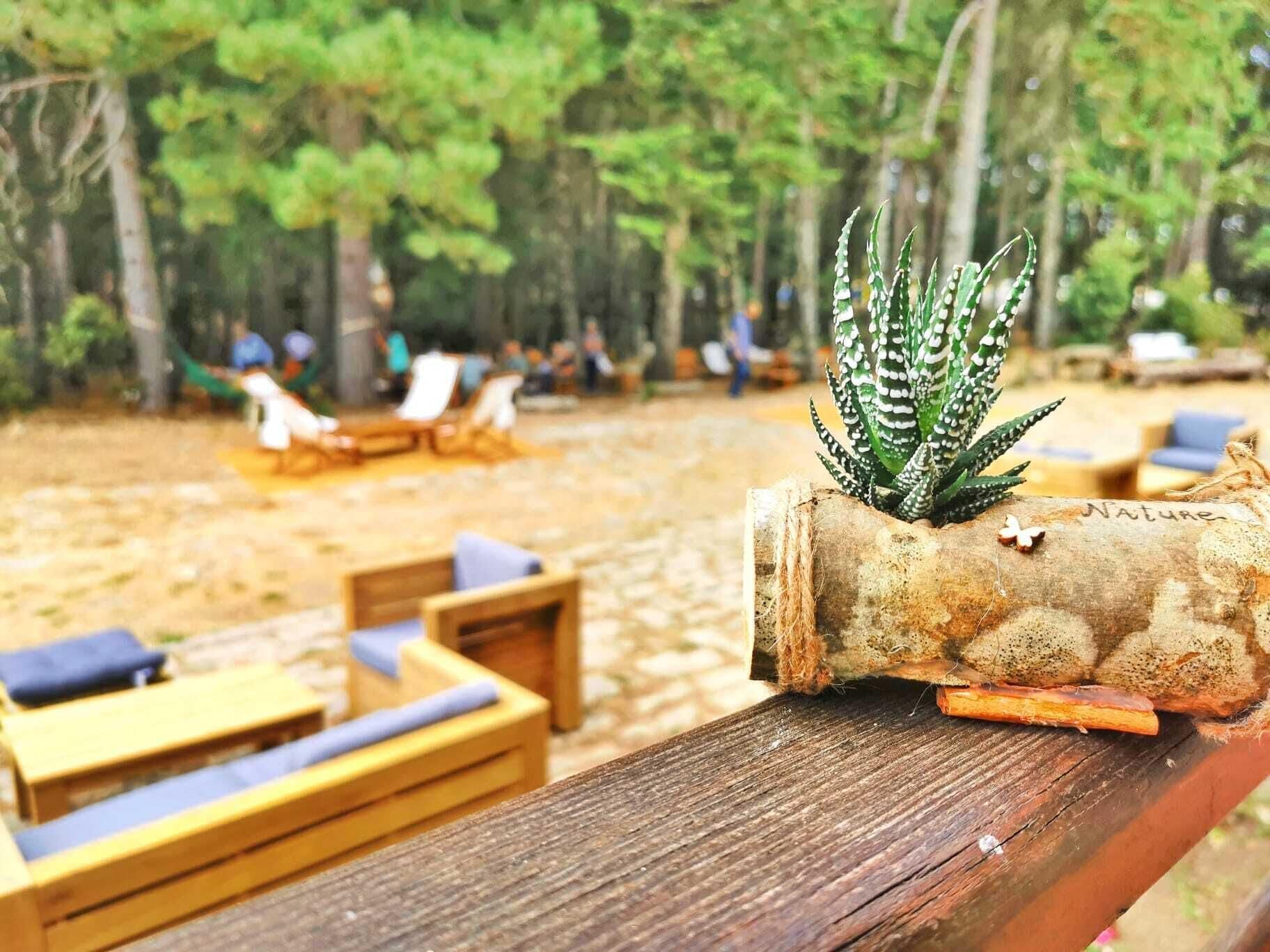 טמפיו פאוזניה Vallicciola Nature Hotel מראה חיצוני תמונה